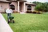 Lawn / Garden
